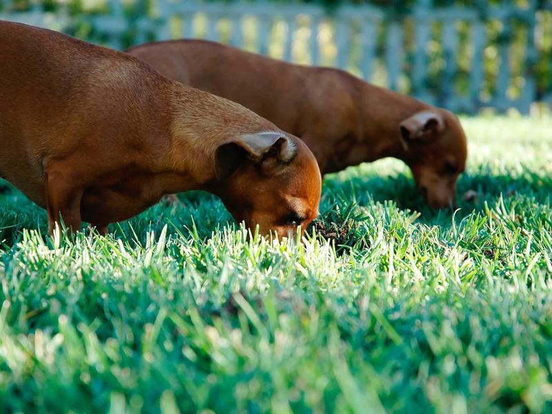 sudoku logic solving