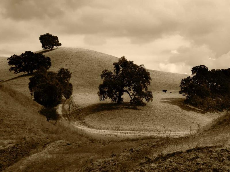 sudoku skill improvement screenshot 6