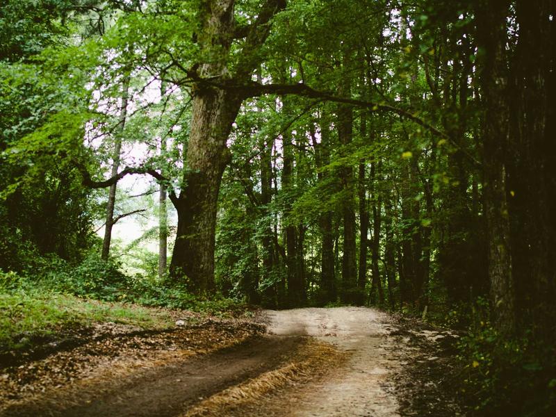 sudoku progression track screenshot 6